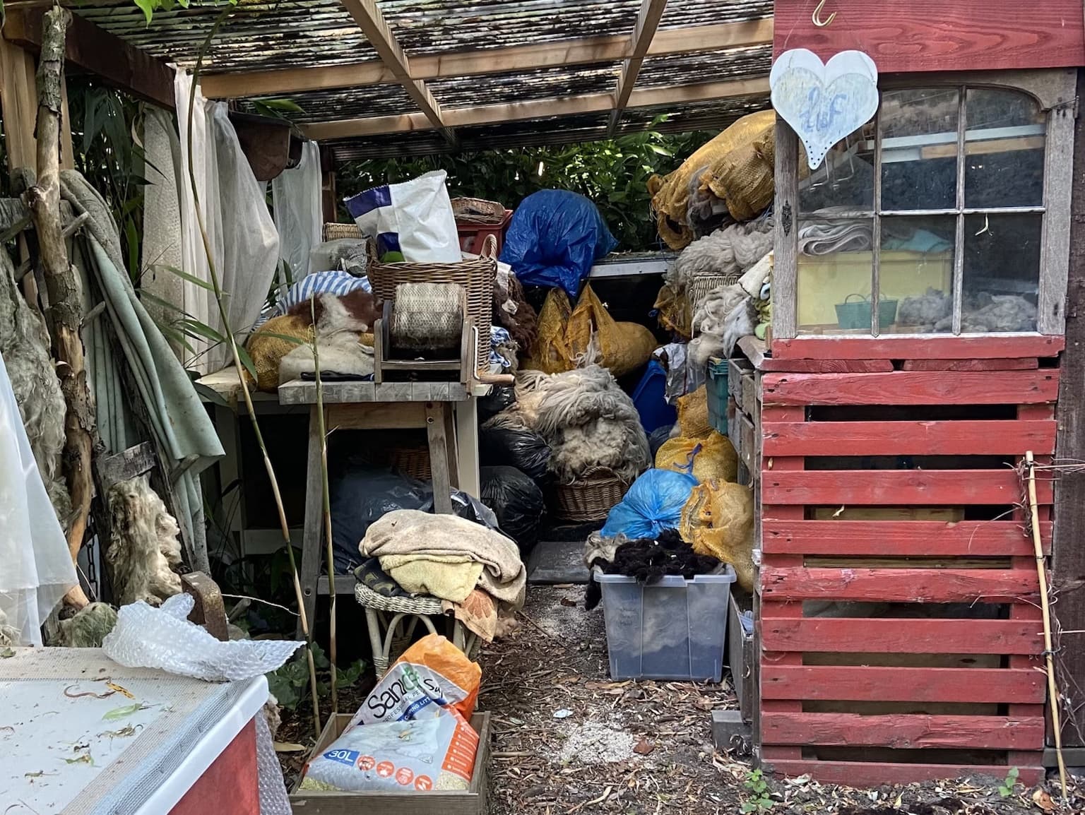 Shed and backyard cleanout
